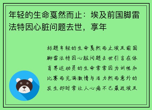 年轻的生命戛然而止：埃及前国脚雷法特因心脏问题去世，享年