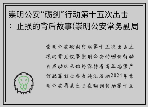 崇明公安“砺剑”行动第十五次出击：止损的背后故事(崇明公安常务副局长)